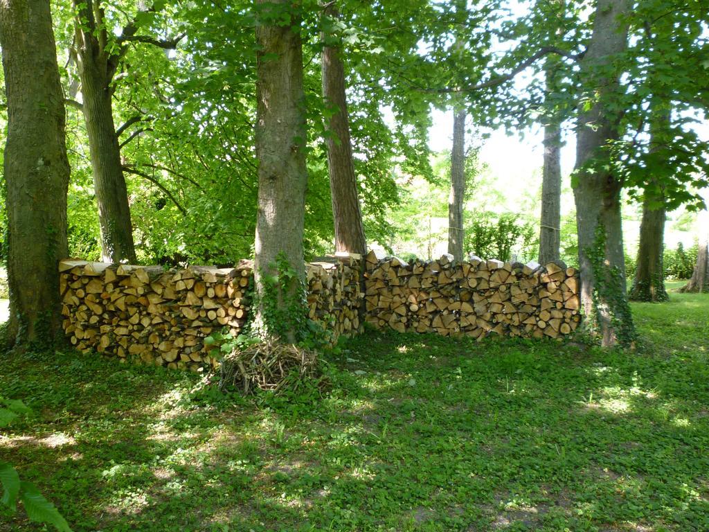 Le Relais De Chasse Hotel Chantenay-Saint-Imbert Buitenkant foto