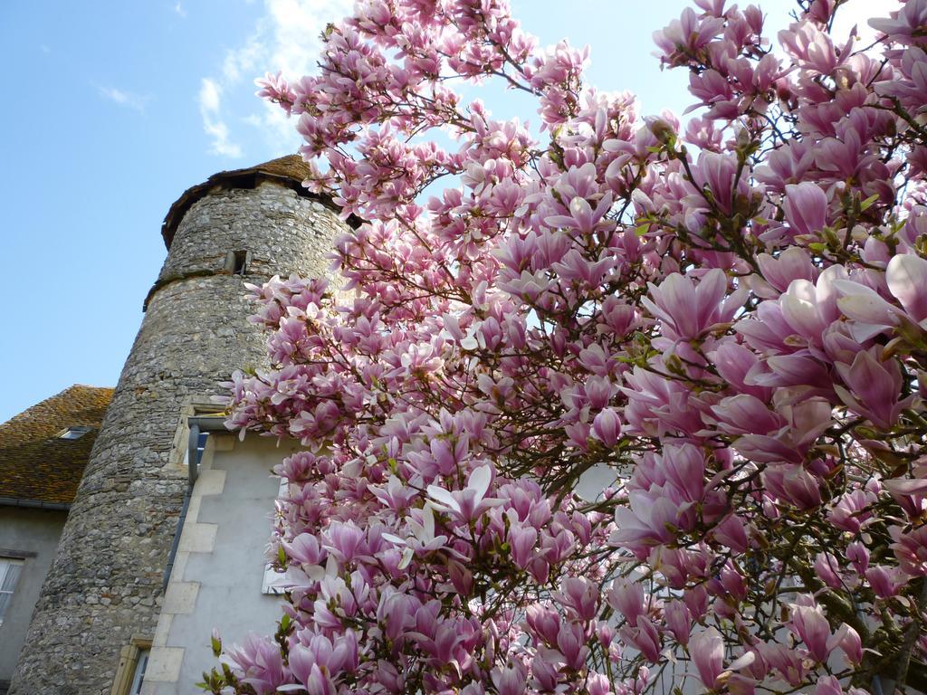 Le Relais De Chasse Hotel Chantenay-Saint-Imbert Buitenkant foto