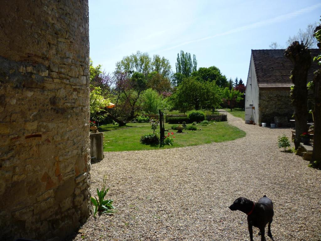 Le Relais De Chasse Hotel Chantenay-Saint-Imbert Buitenkant foto