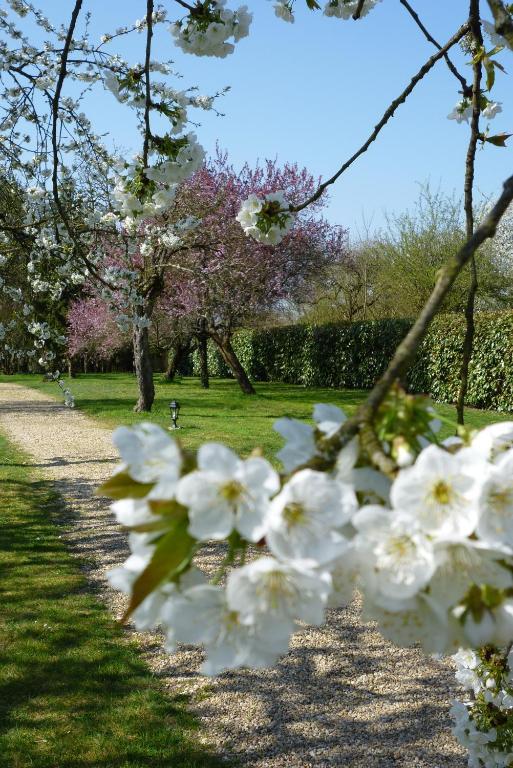 Le Relais De Chasse Hotel Chantenay-Saint-Imbert Buitenkant foto